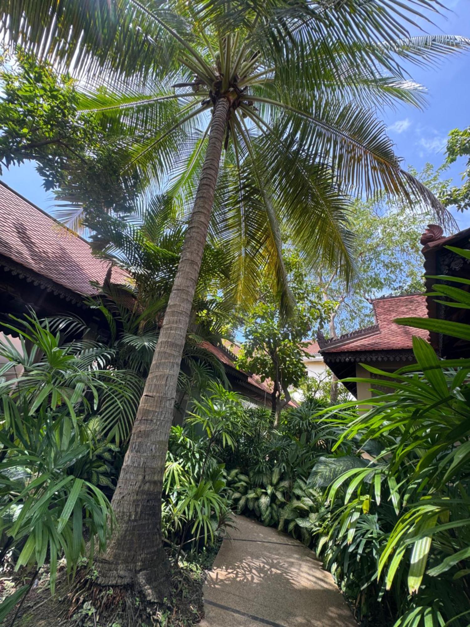 Somadevi Angkor & 5*