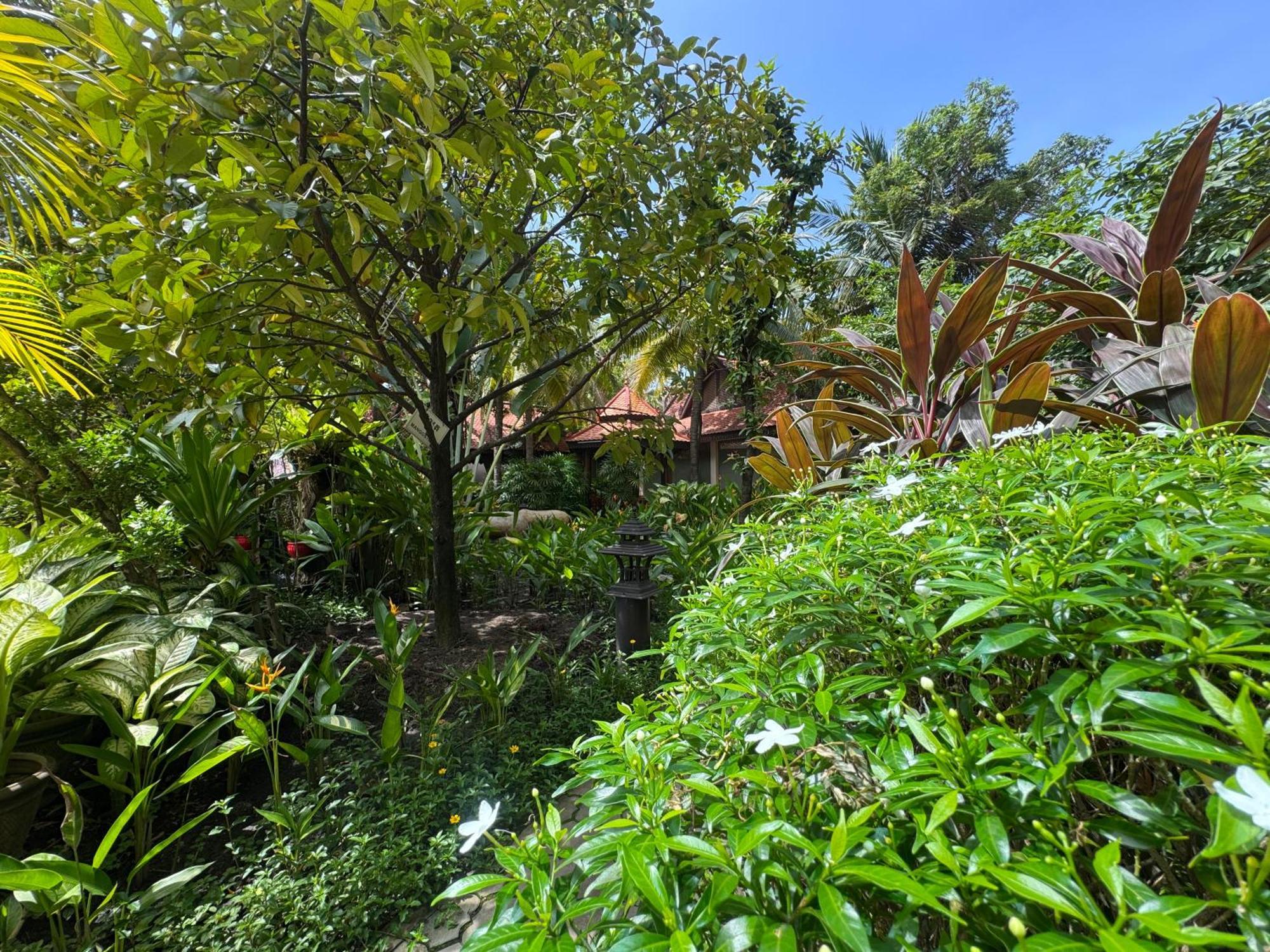 Somadevi Angkor & Siem Reap