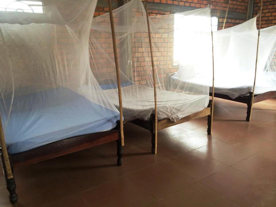 Urban Jungle Hotel 2*