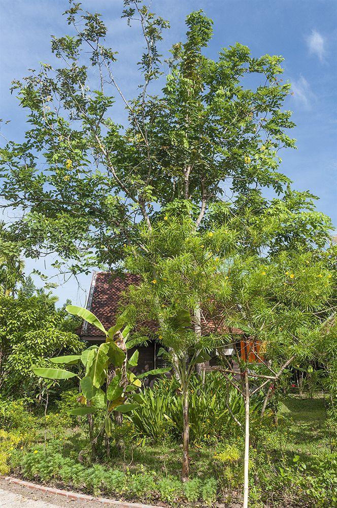 Palm Village & Resort