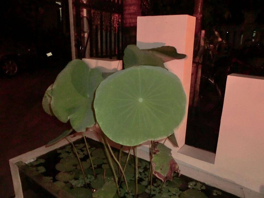 Hotel Eocambo