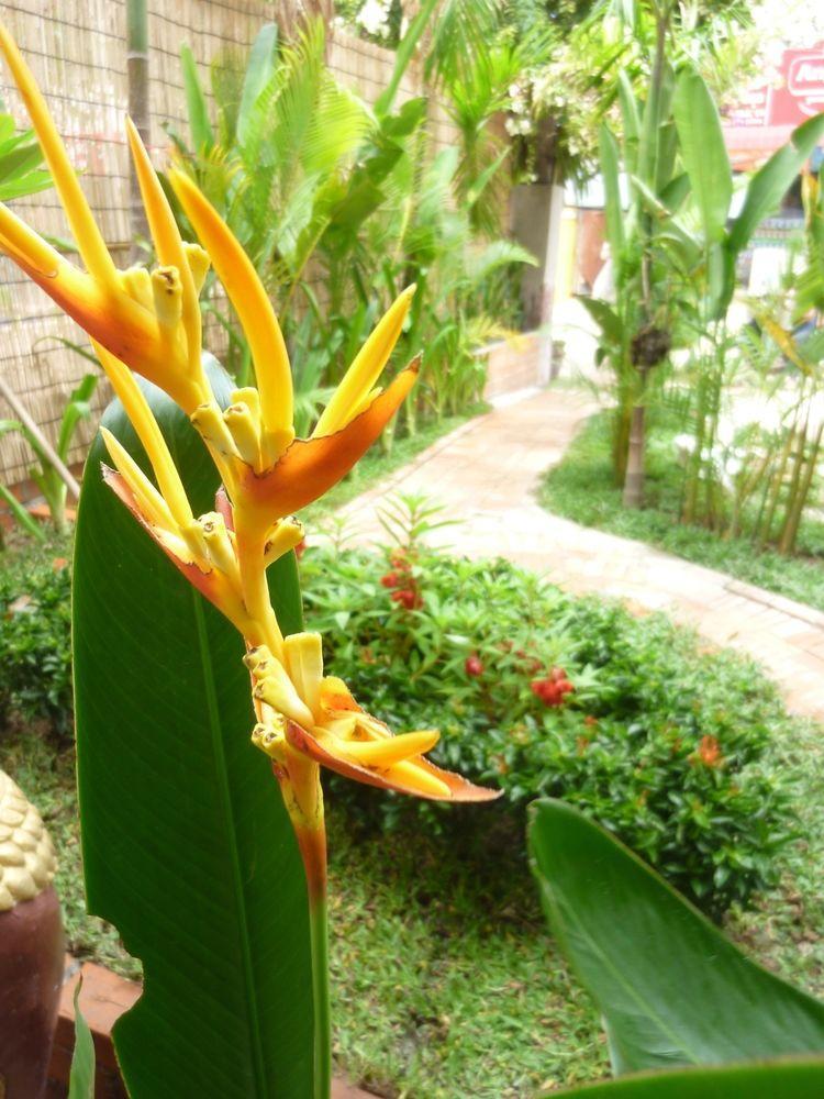 Nhà khách Angkor Reas Siem Reap