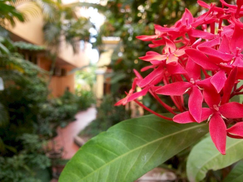 Robam Hotel 3*