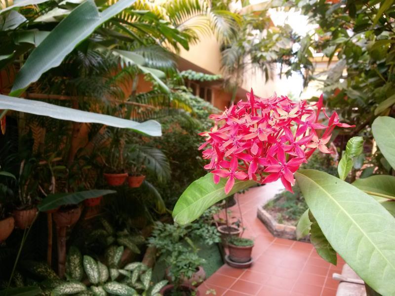 Robam Hotel 3*