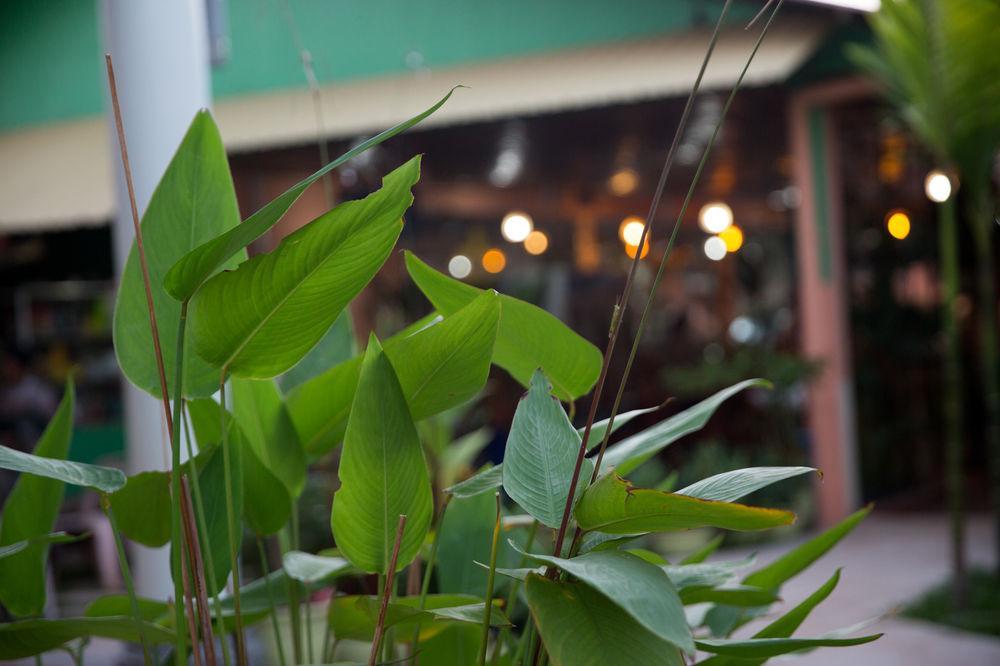 Kirin Marry Angkor Hotel Siem Reap