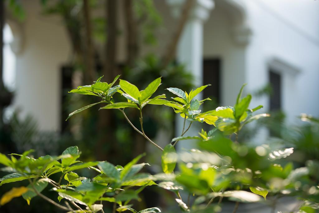 Hotel Sonalong Boutique Village & Siem Reap