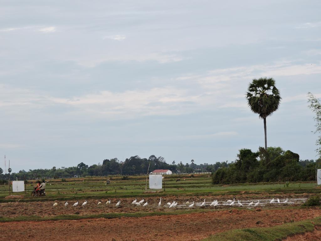 Real Homestay Siem Reap
