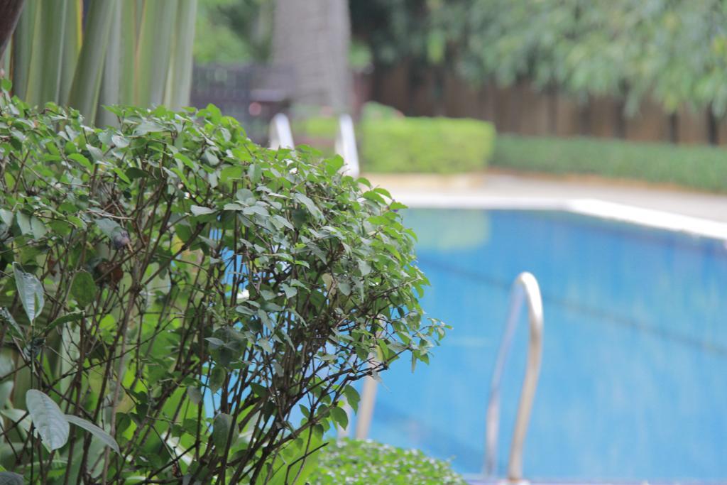 Starry Angkor 4* Siem Reap