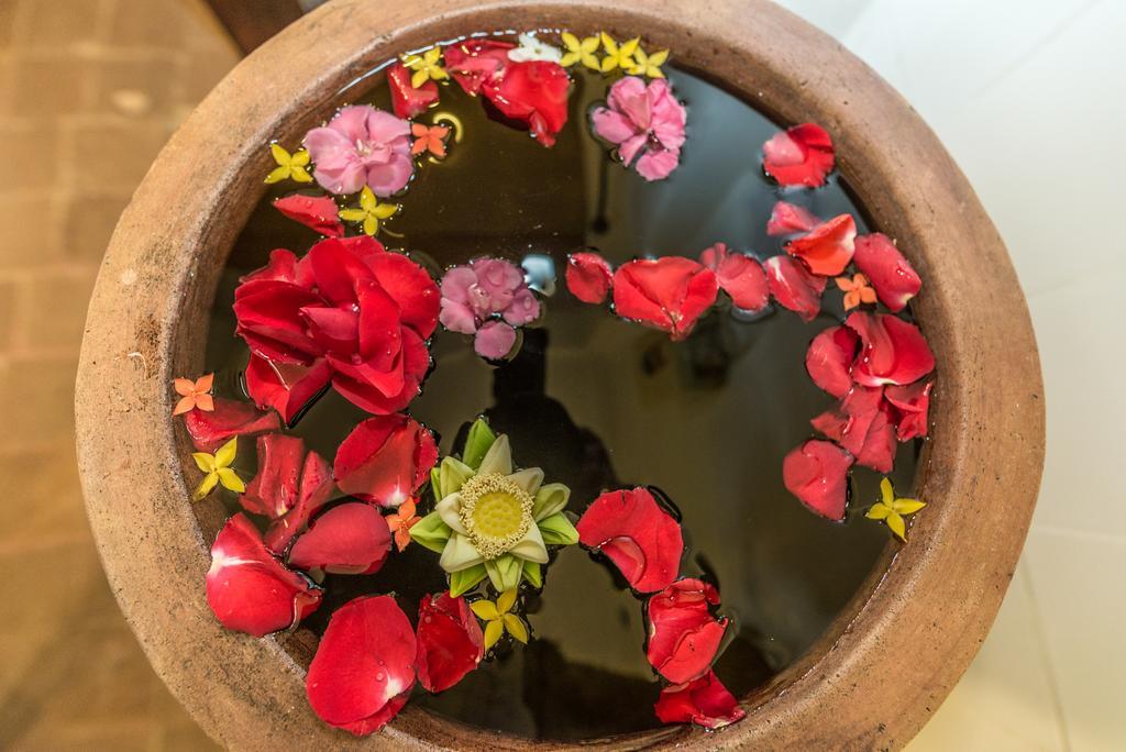Sizen Retreat & Siem Reap