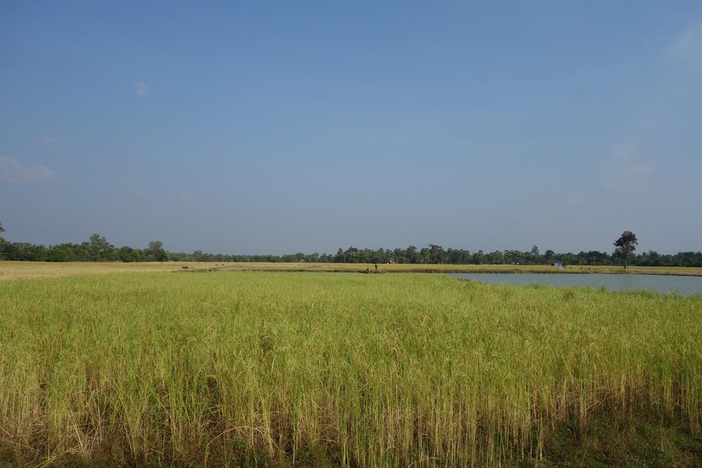 Casa di campagna Authentic Cambodian Angkor