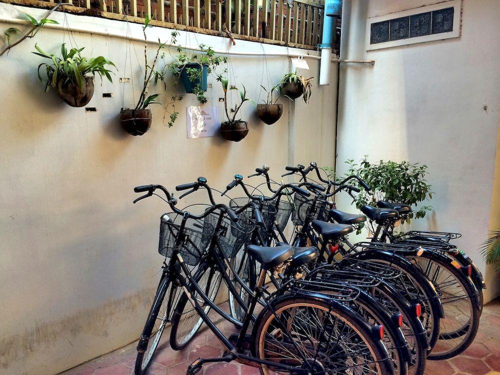 The Cashew Nut Guest house Siem Reap