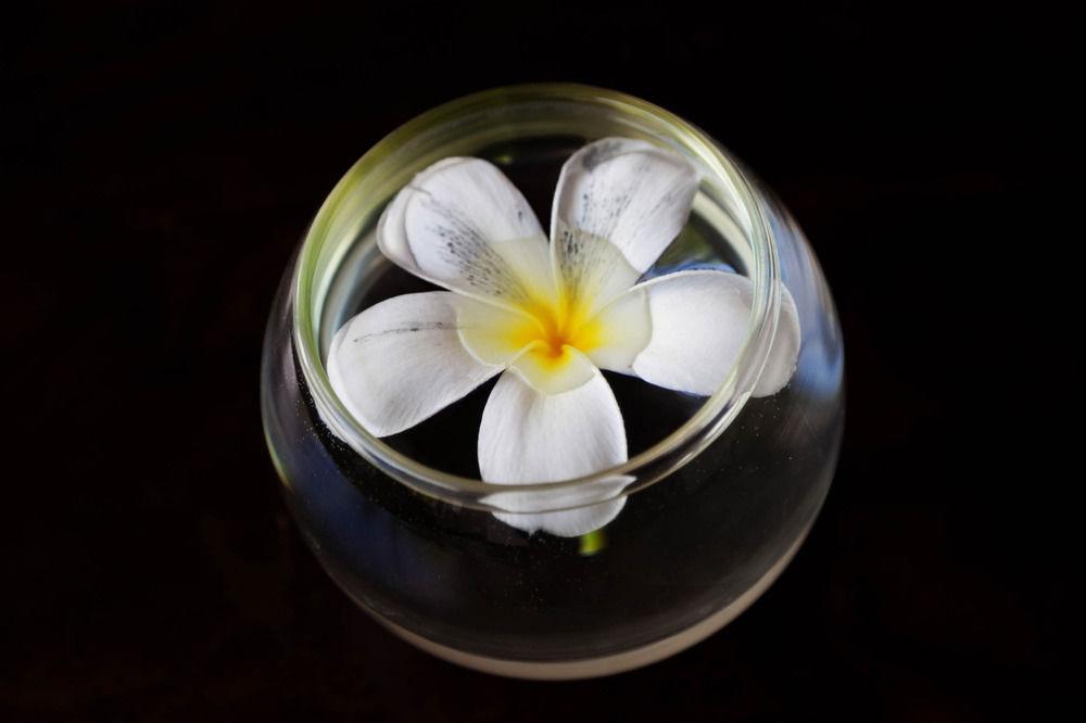 Goyavier Boutique Hotel Siem Reap