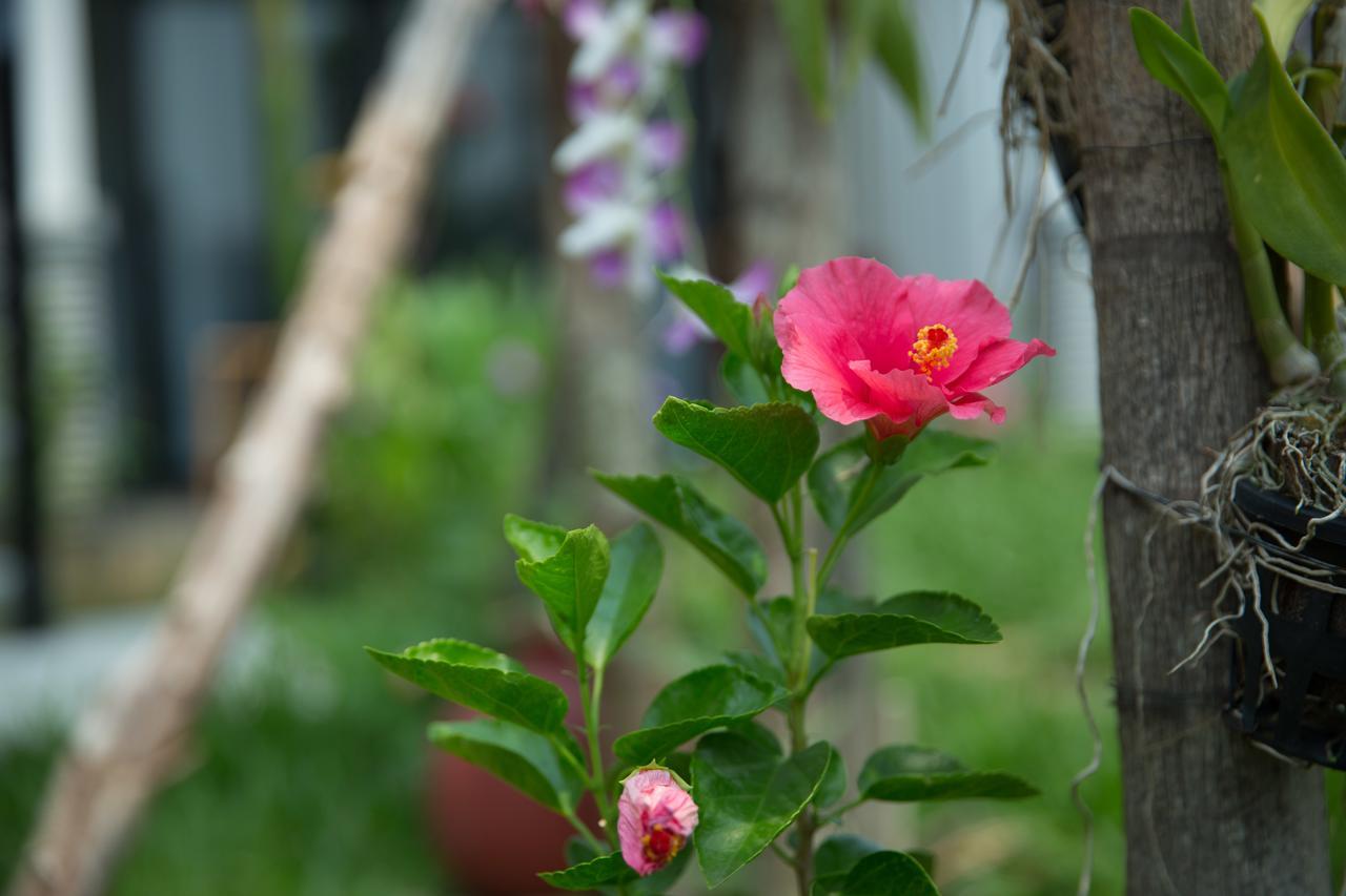Hotel Dream Butterfly Garden Boutique 3*