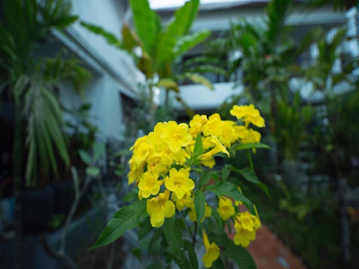 Hotel Dream Butterfly Garden Boutique Siem Reap