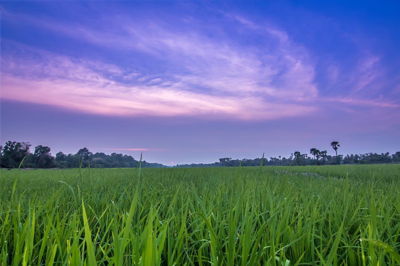 Hotel Chhay Long Angkor Boutique