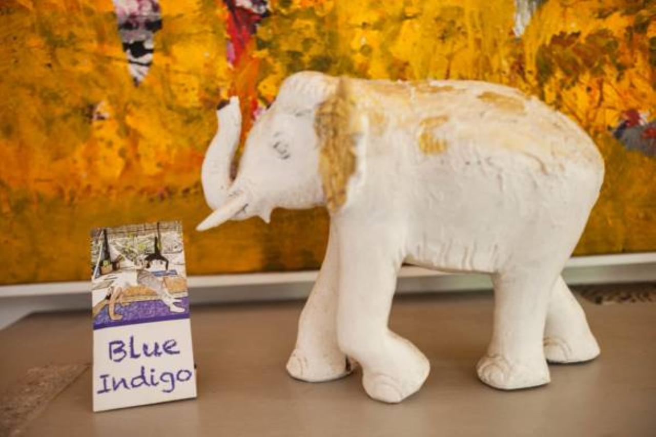 Lodge Blue Indigo Yoga Retreat *