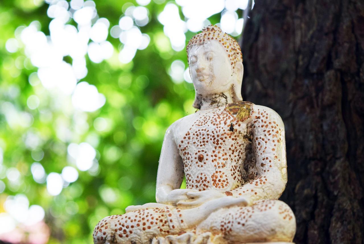 Blue Indigo Yoga Retreat Lodge *