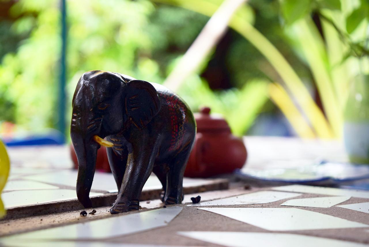 Blue Indigo Yoga Retreat Lodge
