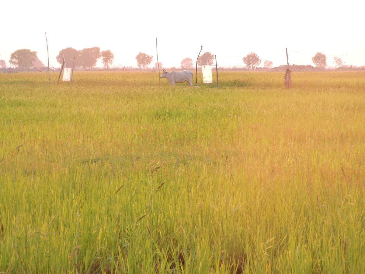 Homestay Real Siem Reap