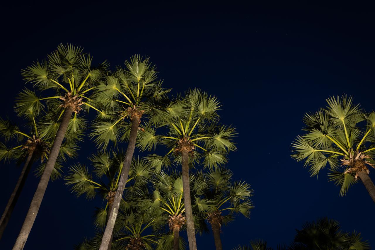 La Palmeraie D'angkor Hotel 4*