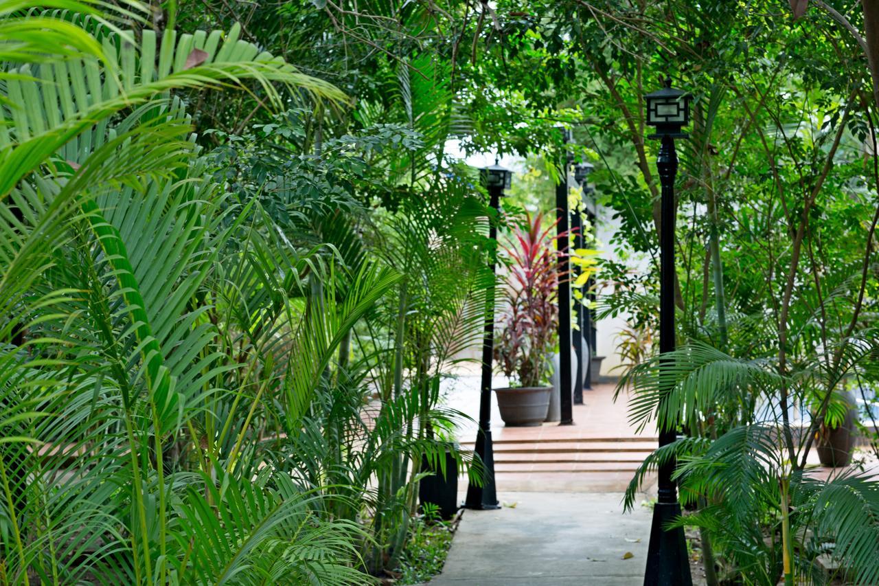 Nature Boutique 3* Siem Reap