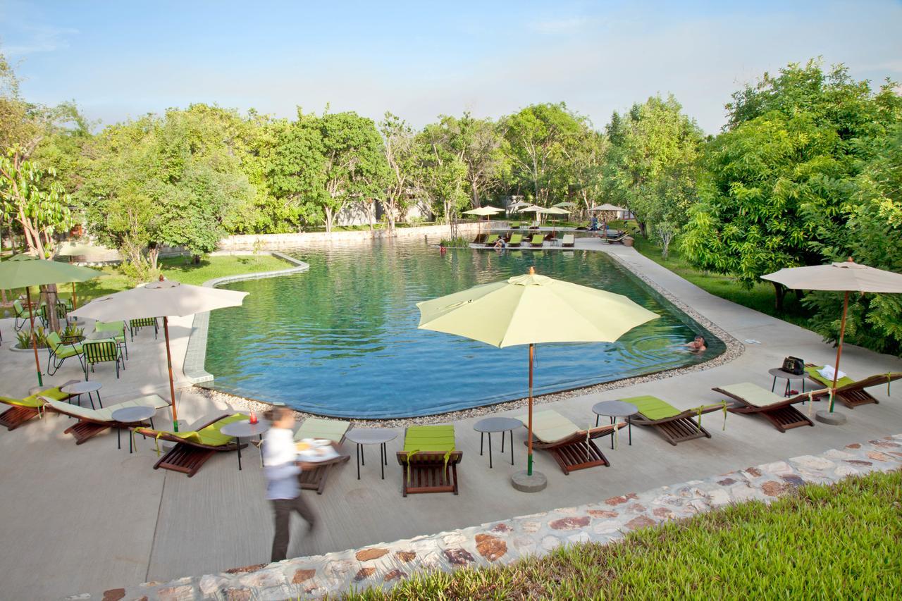 Templation Siem Reap