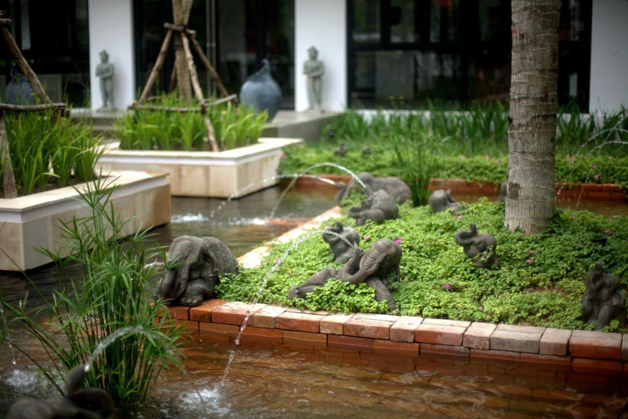 Damrei & 5* Siem Reap