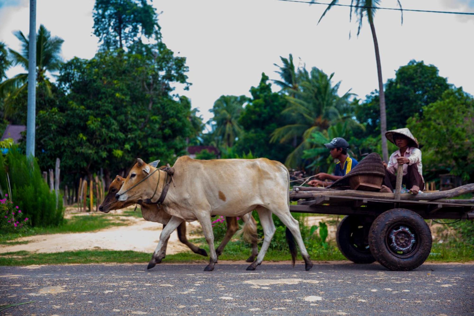 Homestay Chansor Community 2 Siem Reap