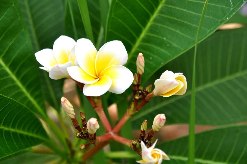 Hotel Tropical Boutique 3*