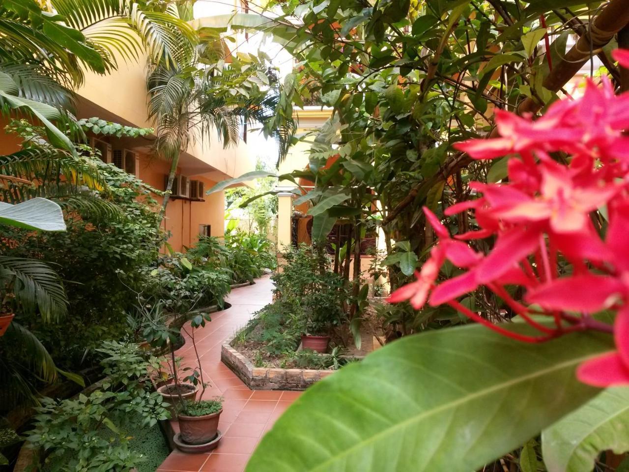 Robam Siem Reap