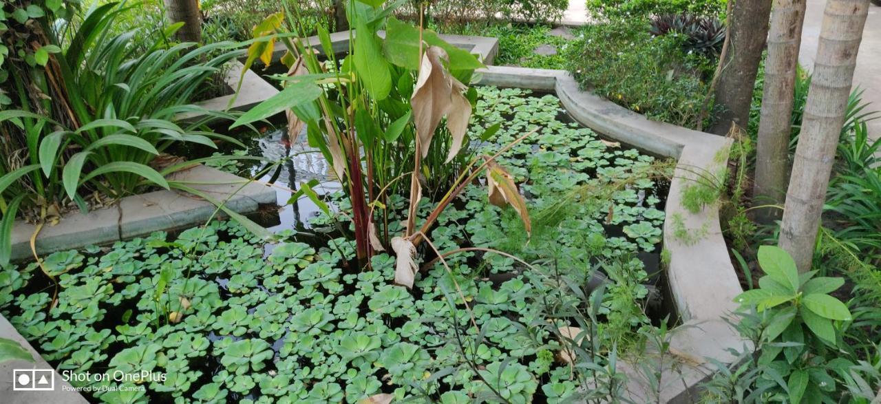Sweet Bed & Breakfast Siem Reap