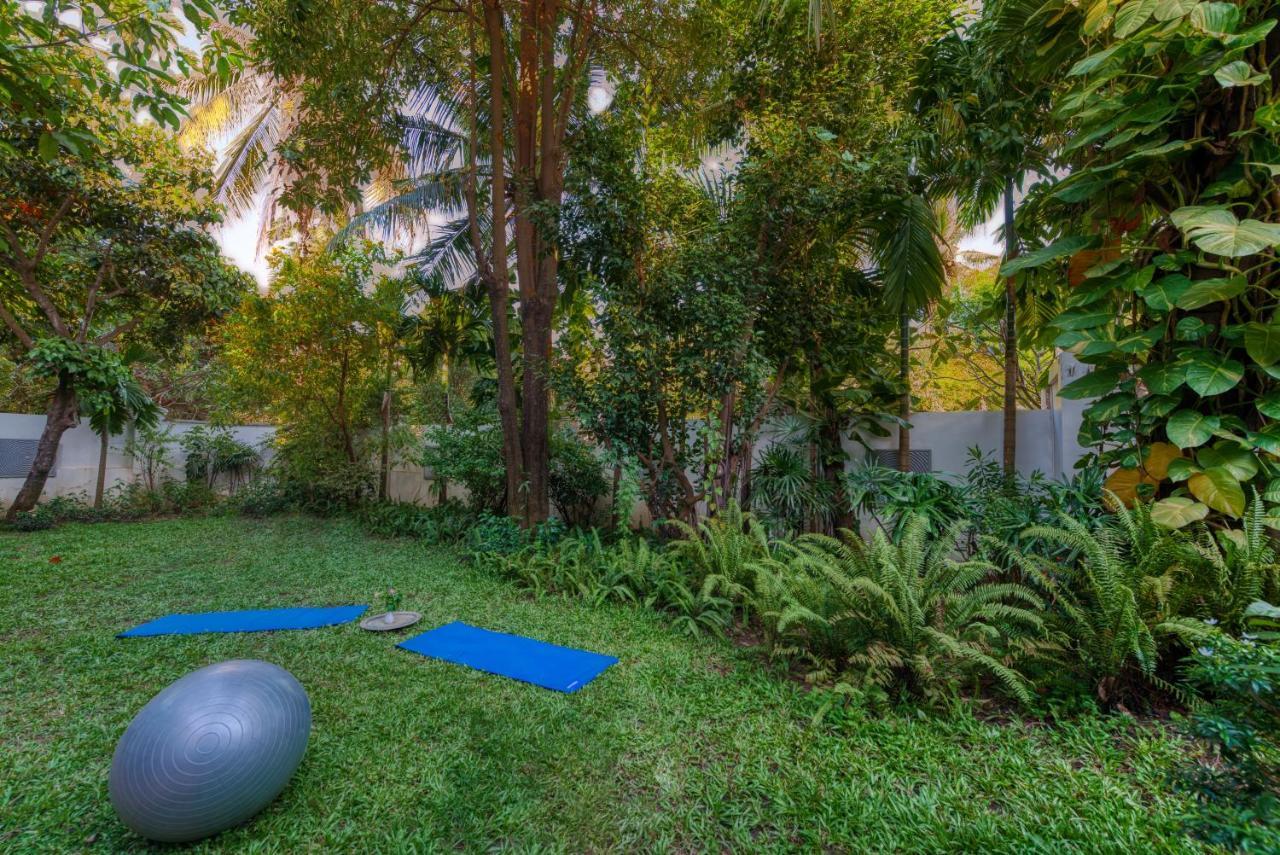 Mane History Lovers 5* Siem Reap