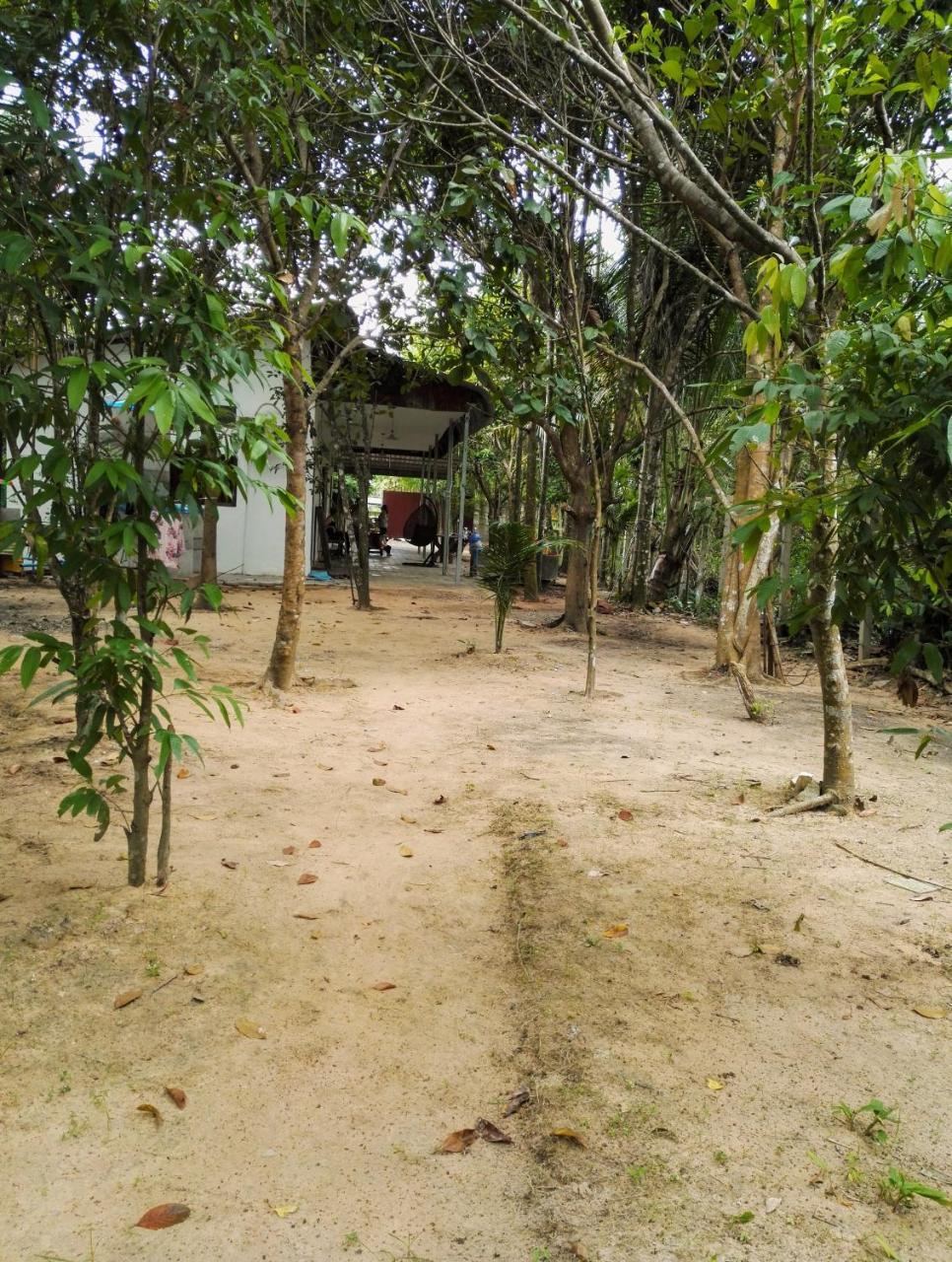 La Maison Des Bambous Bed & Breakfast