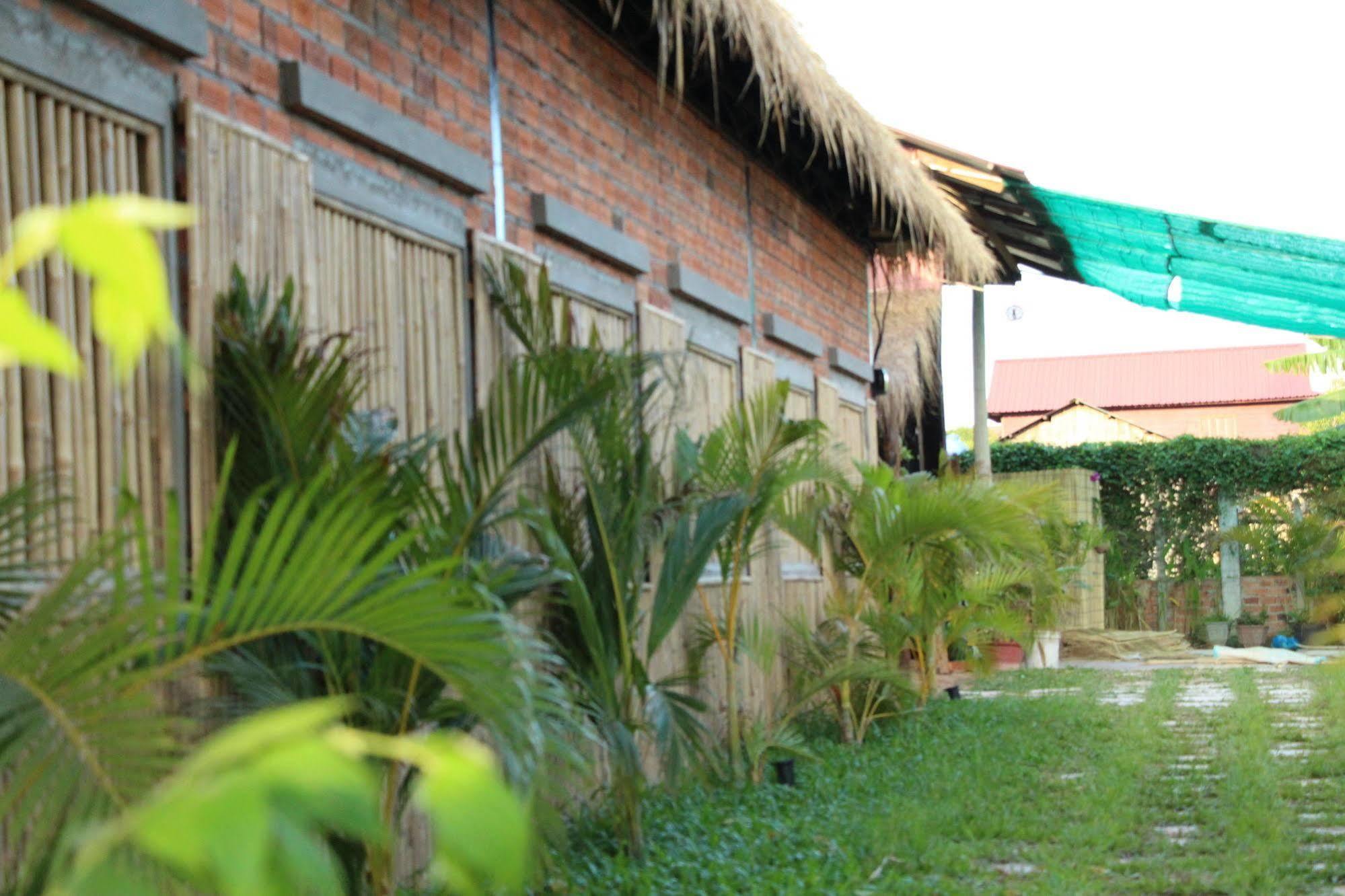 Areca