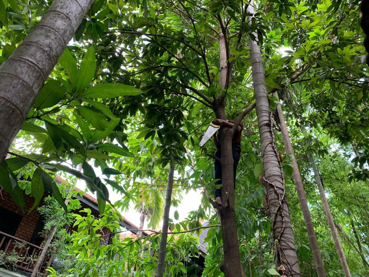 Petit Boutique & Siem Reap