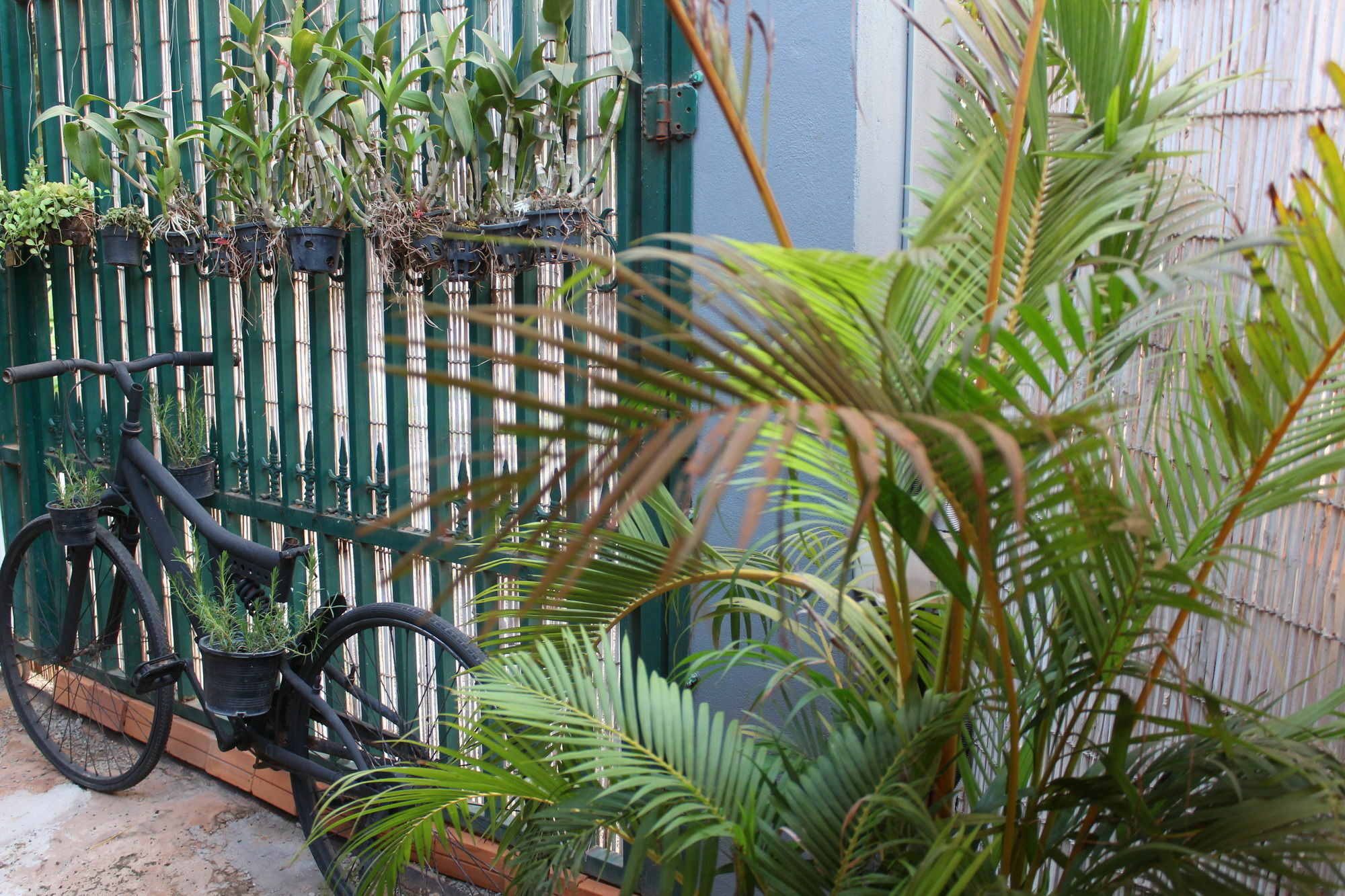 Eco-home Siem Reap