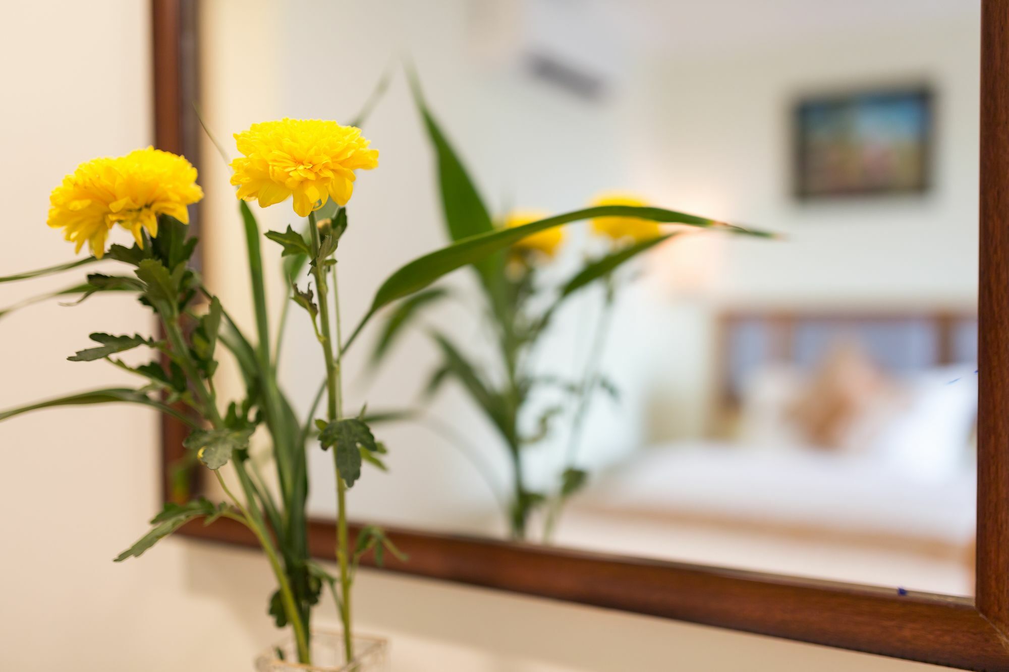 Hotel Grand Bayon 4*