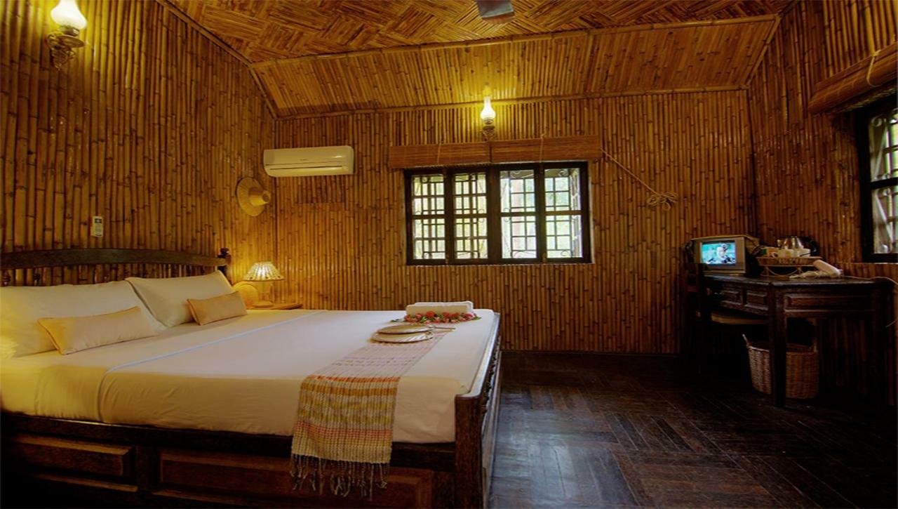 Palm Village &