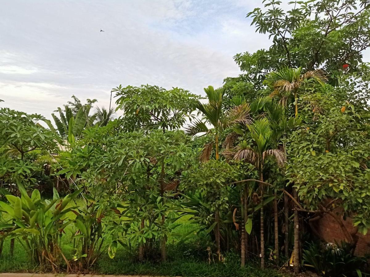 Filia D'angkor Boutique Villa Siem Reap