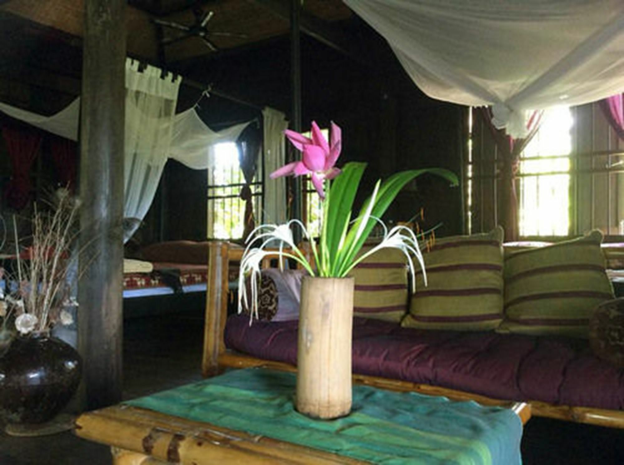 The Bong Thom Homestay *