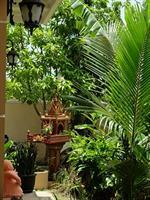The Rose Apple Boutique 3* Siem Reap