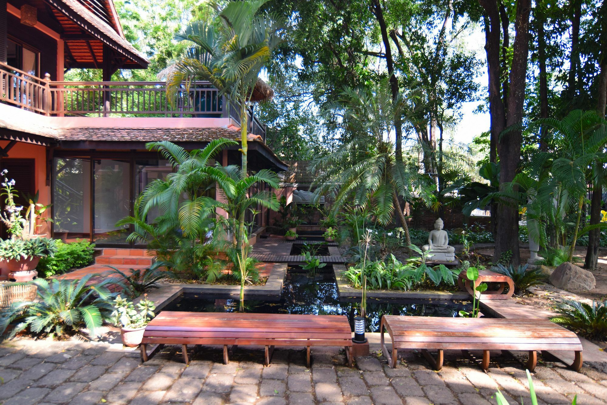Dream Garden