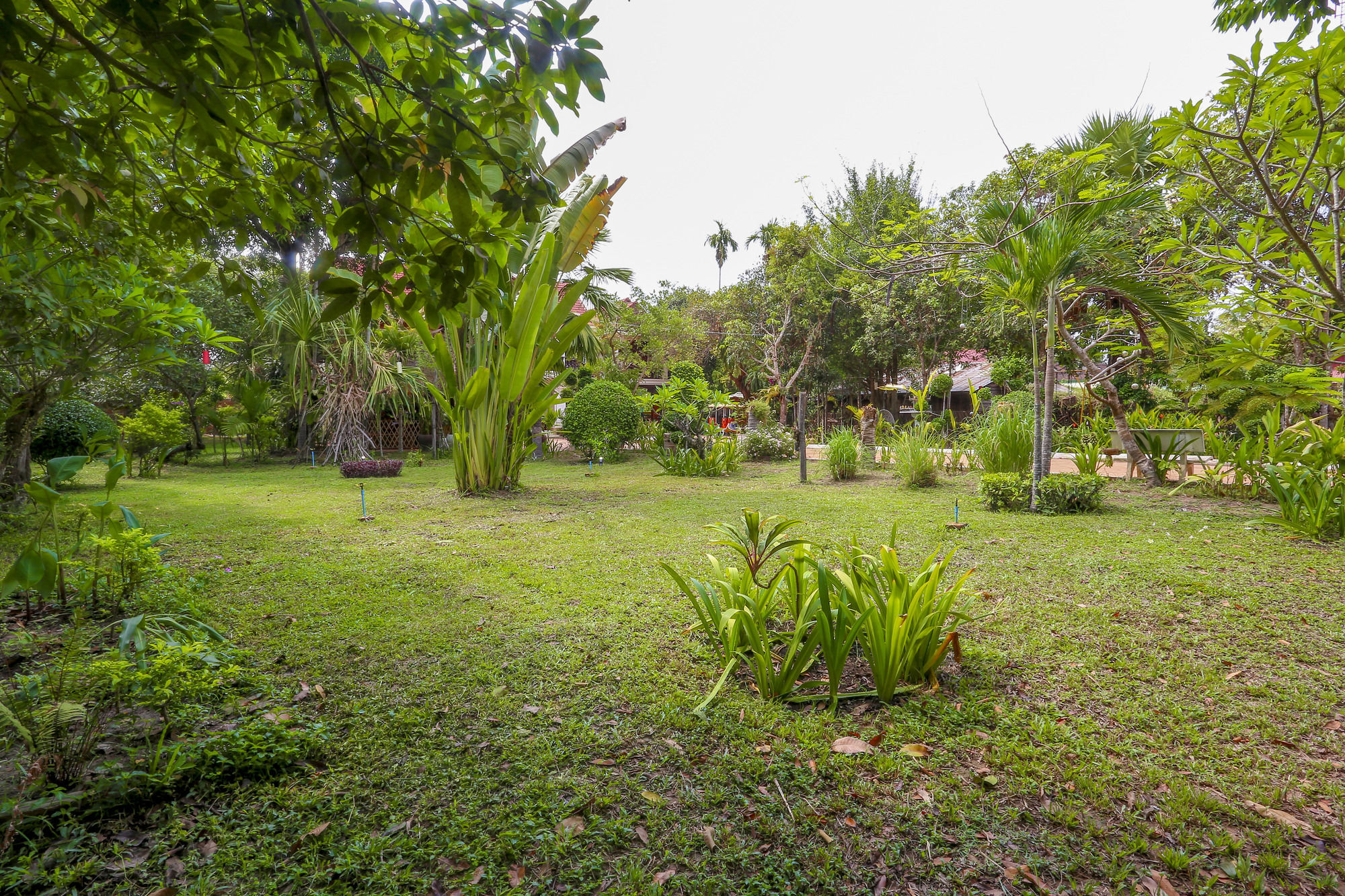 Bloom Garden