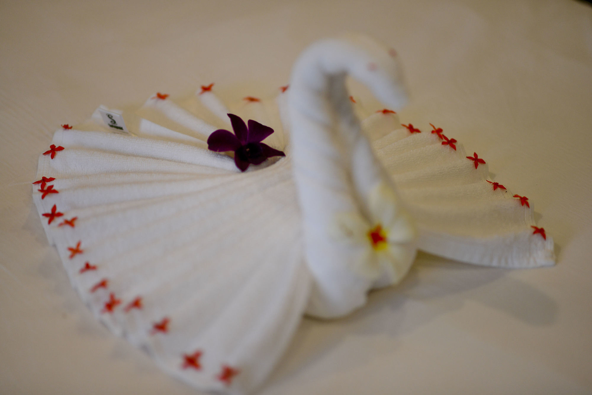 Angkor Haolyton 3* Siem Reap
