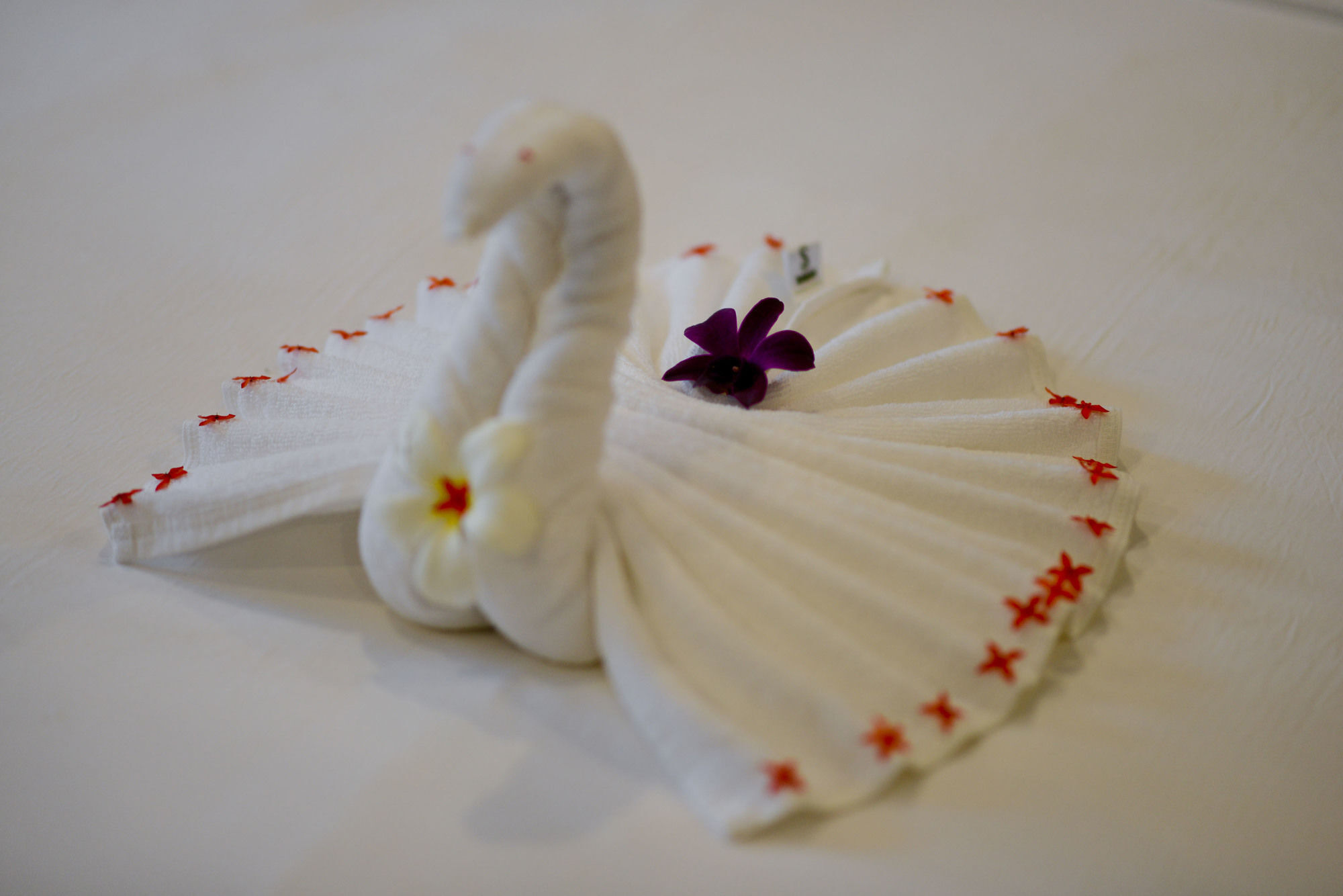 Angkor Haolyton Hotel