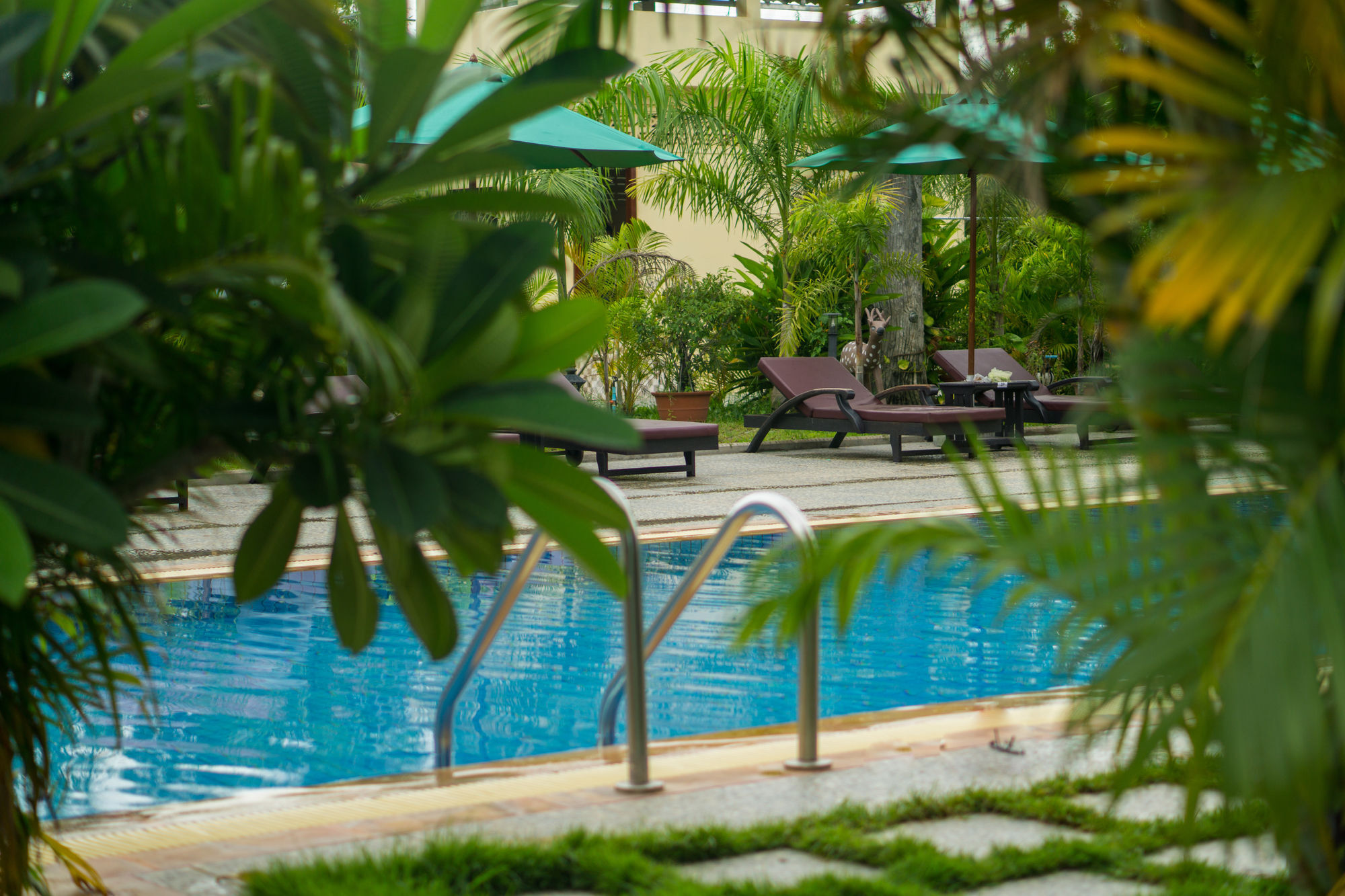 Angkor Magic Tree Hotel Siem Reap