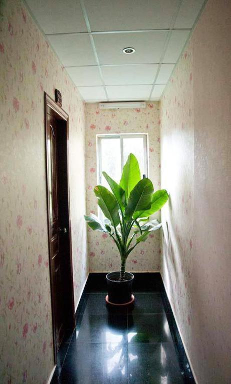 Parklane Khách sạn