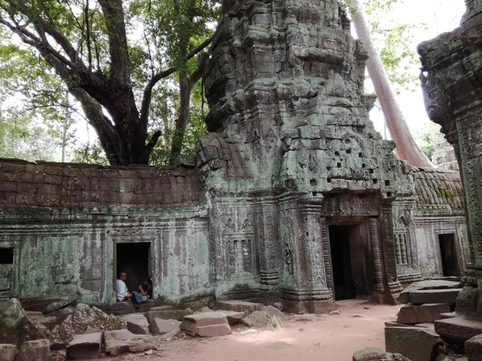 Angkor Magic Tree Boutique Hotel