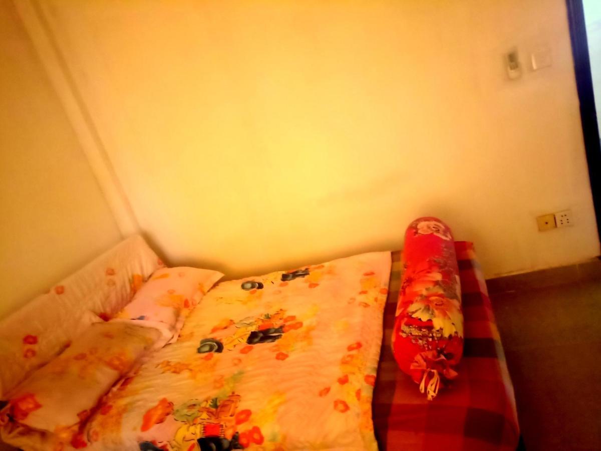 Guest house The Crocodile