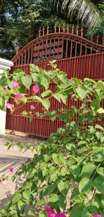 Bed & Breakfast La Maison Des Bambous